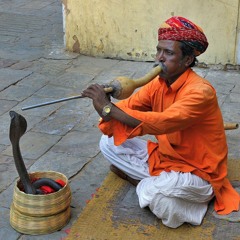 Snake Charmer