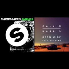 Open wide X Animals |Calvin Harris & Martin Garrix
