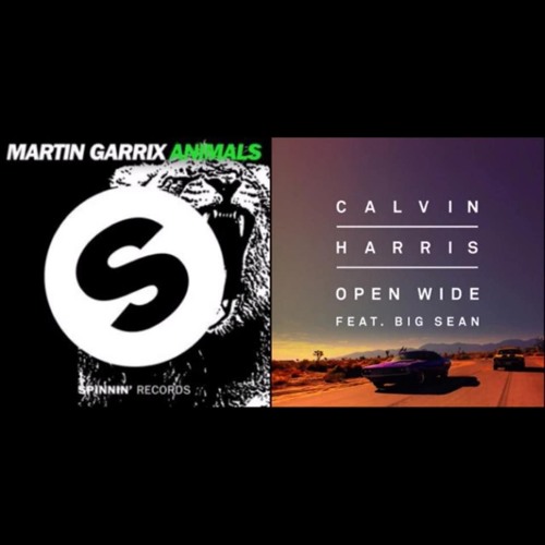 Open wide X Animals |Calvin Harris & Martin Garrix