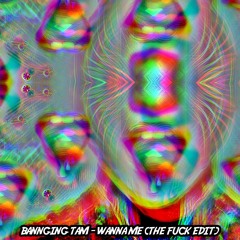 BANNGING TAM - WANNA ME (THE FUCK EDIT)