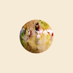 Nagy & Goldrausch - Rainmaker
