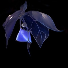 Ebb And Flow P2 Edit 2
