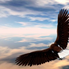 GLEEMZ FT RIDZ - BIRDS OF A FEATHER *FREE DOWNLOAD*
