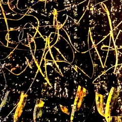 We Are Such Stuff As Dreams Are Made On