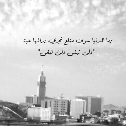 أخ الدنيا أرى دنياك أفعى ....!! جديد الشيخ عبد الله كامل