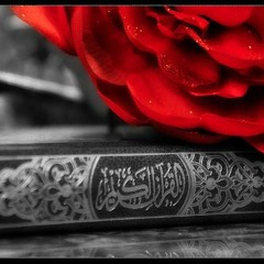اثر الزواج المبكر على التحصيل العلم - معالي الشيخ عبدالكريم بن عبدالله الخضير حفظه الله -