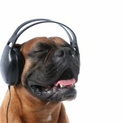 Best songs In my opinion :)