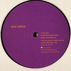 Soul Capsule - Lady Science (NYC Sunrise)