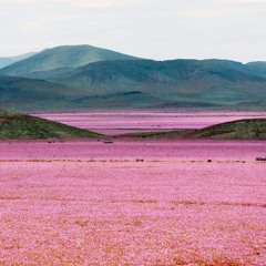 live at third life studios ::: 01.15.2016