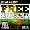 Download Video: FREE Anniversary Collection Vol. 2 [5.3GB of the Best EDM/ Future/ Deep Construction Kits & Samples]