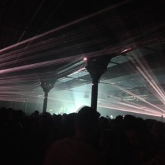 Peacock winter @paris 30/01/16