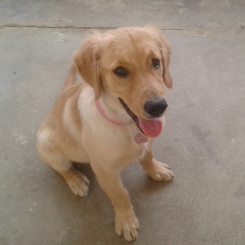 Glowing in the dark dove cameron