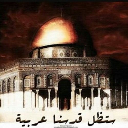 زهره المدائن     شيماء طارق