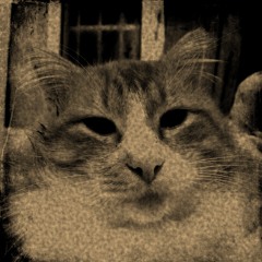 If He Knows by Idil Mese featuring Robin Dudley