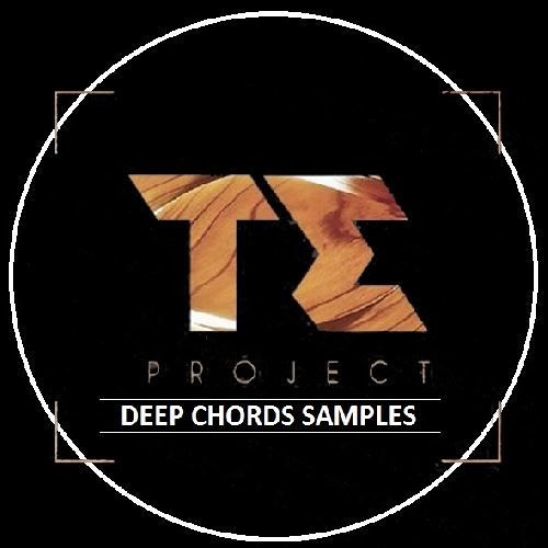 Deep Chords Tools T.E Project Vol. 1