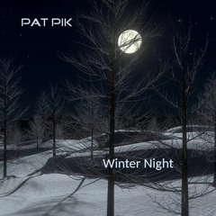 Pat Pik - Winter Night