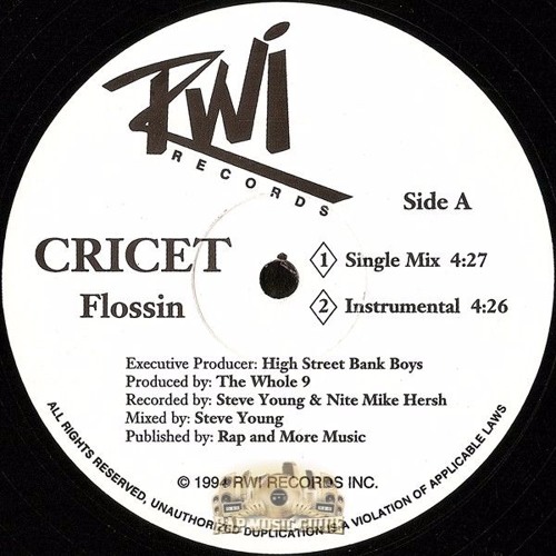 洋楽 CRICET / Flossin Stream 