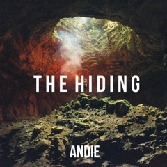 The Hiding (Original Mix)