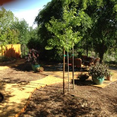 Snake Charmer (Beats Impact Mix)