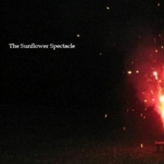 Electro - Negativity