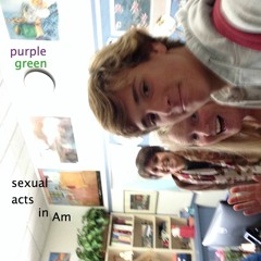 Sexual Acts In Am