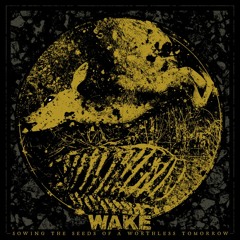 WAKE: Low