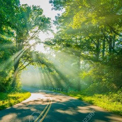 Leaving Town, Coming Back