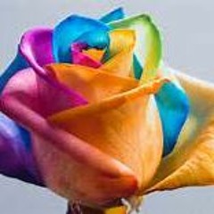 ROSES { TROPICAL HOUSE }