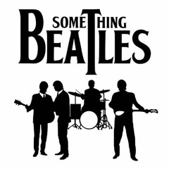 The Beatles - Something (cover)