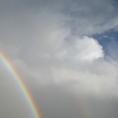 состав: пареа