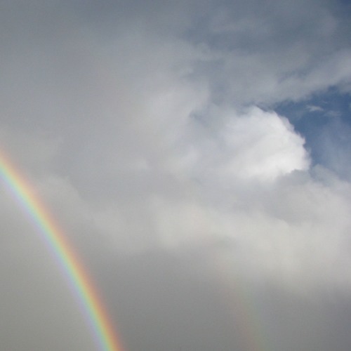 состав: пареа