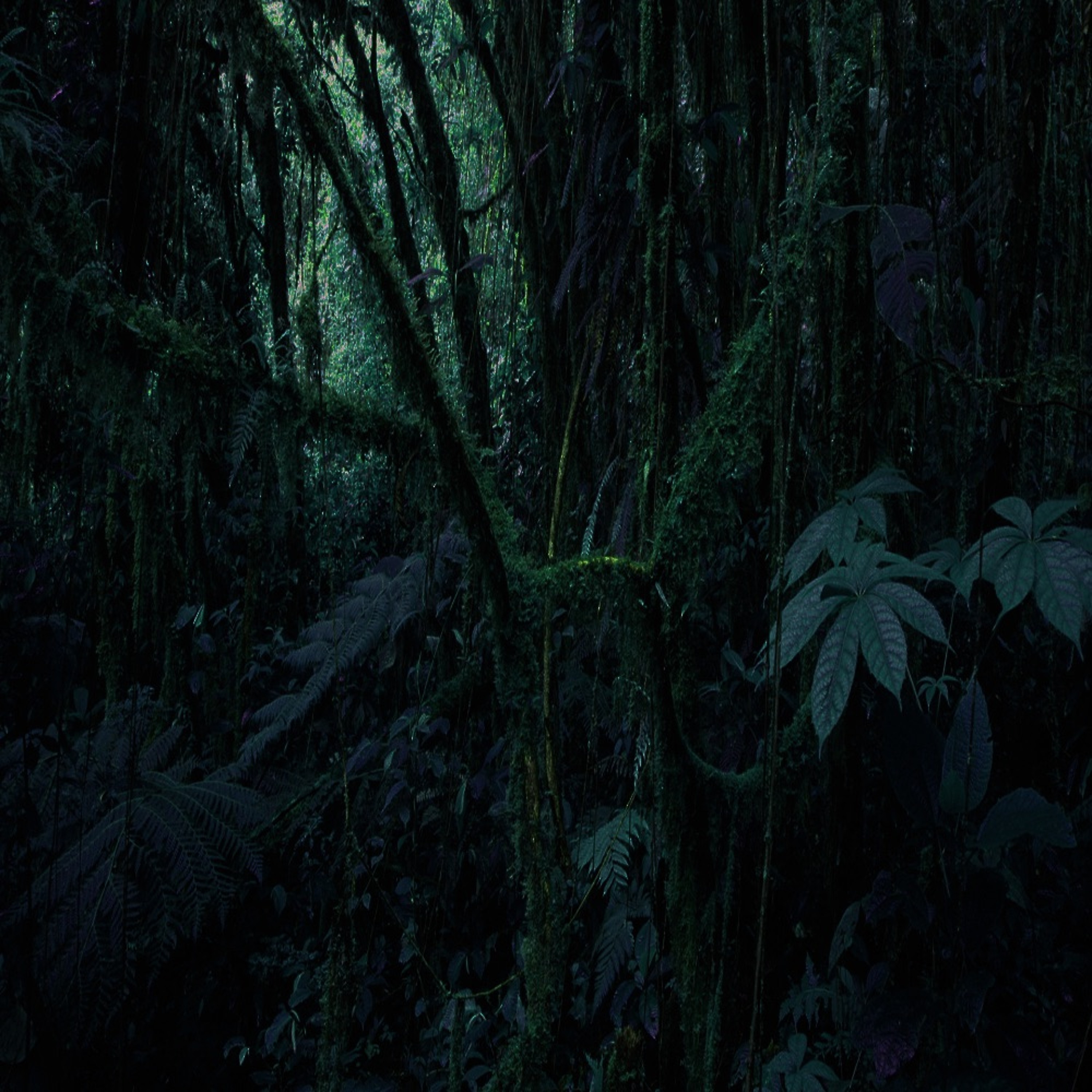 Breathe episode artwork