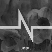 NΣΣT - Jonquil