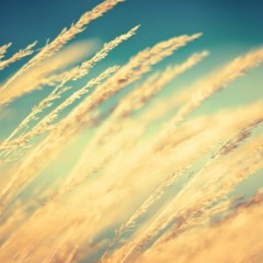 With Every Breath (Song Of The Day Challenge)