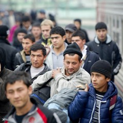 Безопасные страны для мигрантов. Справка Радио Вести