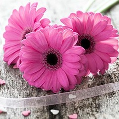 صوت طفل رائع- سورة المزمل