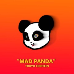 Tokyo Einstein - Mad Panda (Original Mix)