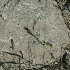 Here There and Everywhere