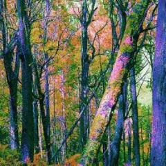 3:43 AM (prod.NBOme)