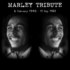 Dj Paglia // Marley Tribute ( Rrs mix 2k16 - FreeDownload )