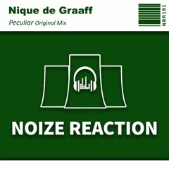 [NRR181]Nique De Graaff - Peculiar (Original Mix) Preview