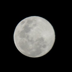 The Hills (Metal Remix)