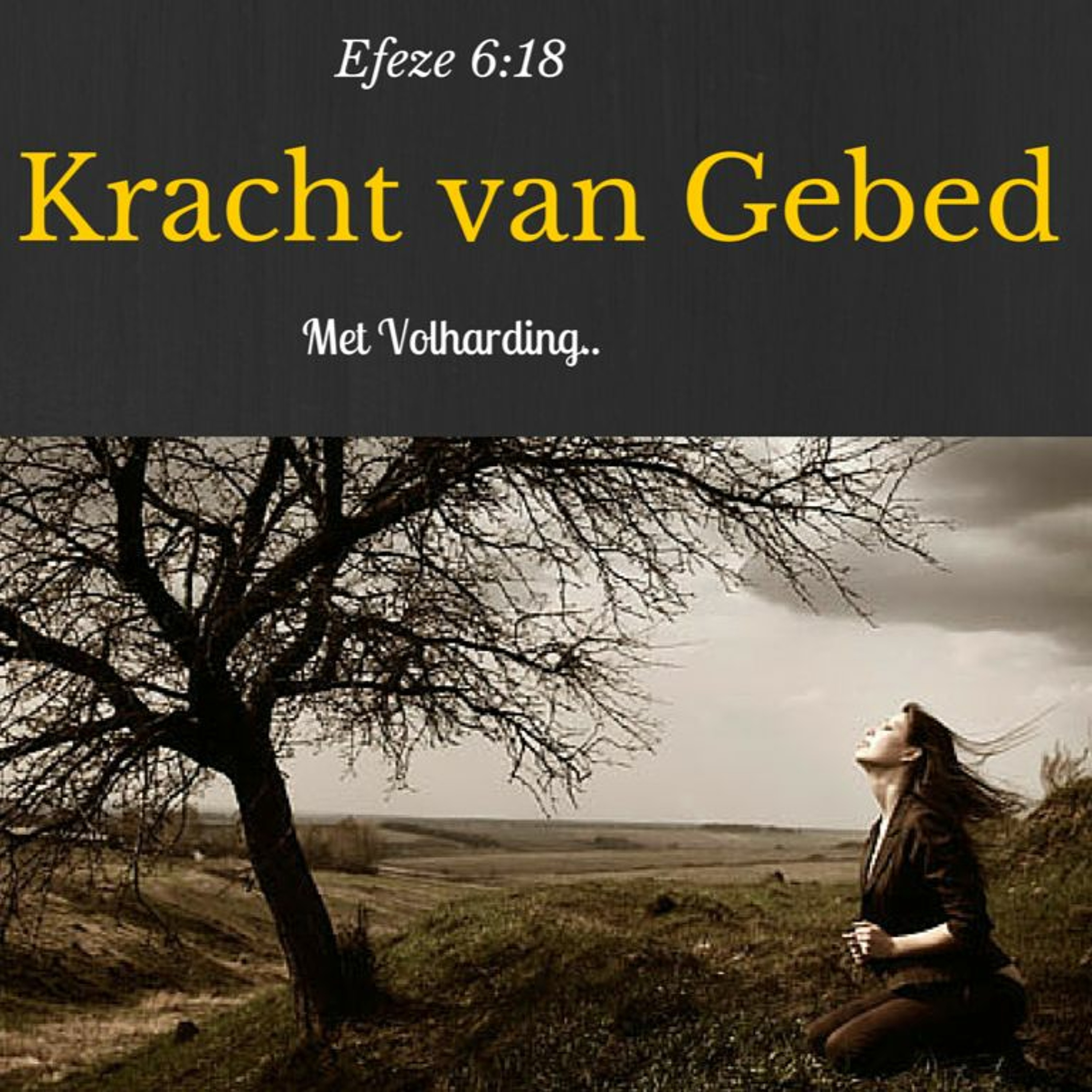 Samen Door De Bijbel