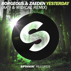 Borgeous & Zaeden - Yesterday (ak9 & MIDIcal Remix)