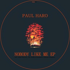 Paul Haro, Carlos Bully, Rafael Torres - Materialismo (Original Mix)
