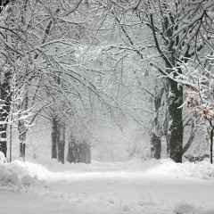 Ricky Wu - 最冷一天