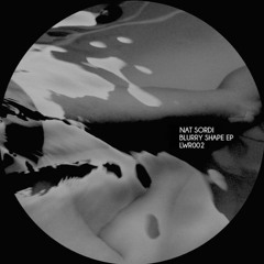 Steel Shape (Original Mix) - LWR002 -