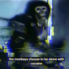 Loop Manipulation Experiment 1