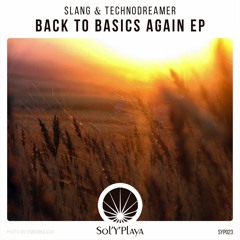 Slang & Technodreamer - The Light [Sol Y Playa] SYP023
