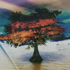 Going Home With Dorothy Gale. [prod. Goldwatch]